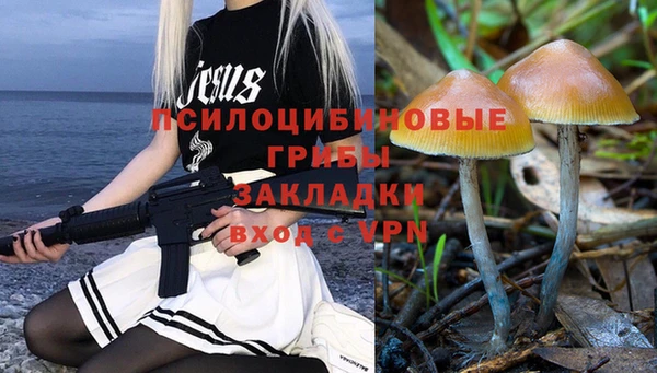 кокс Инсар