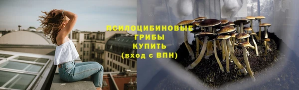 индика Алексеевка