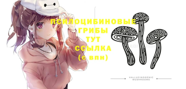 индика Алексеевка