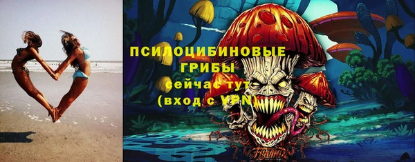 тгк Алзамай