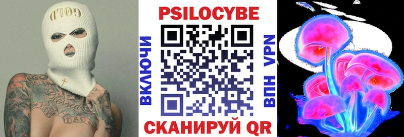 Псилоцибиновые грибы Psilocybe Берёзовский