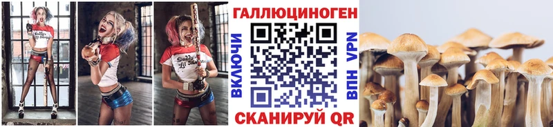 Галлюциногенные грибы ЛСД  где найти   Берёзовский 